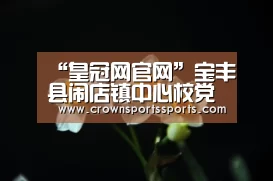 皇冠网