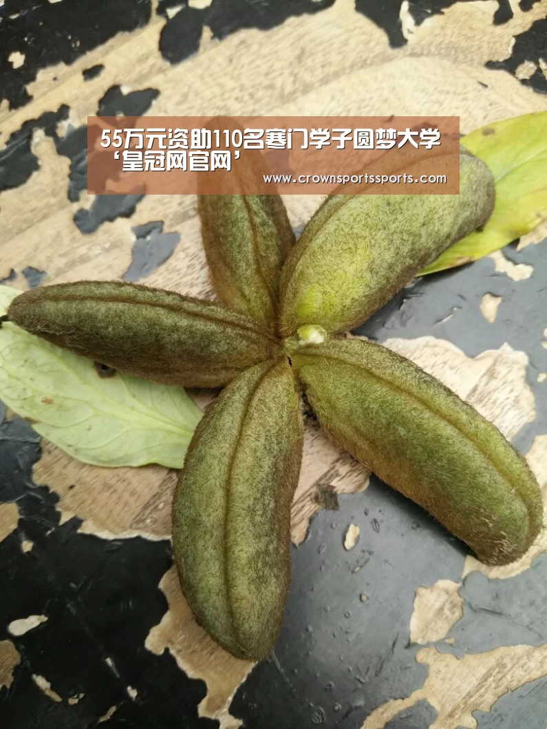 皇冠网官网